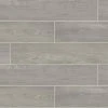 Regent Grove Ash Gray 8 in. x 47 in. Color Body Porcelain Floor and Wall Tile (15.2 sq. ft./Case) by Daltile 2 Regent Grove Ash Gray 8 in. x 47 in. Color Body Porcelain Floor and Wall Tile (15.2 sq. ft./Case) by Daltile -Daltile Sales Store ash gray daltile porcelain tile rg05plk848mthd 64 1000