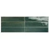 Remedy Herbal 2-3/8 in. x 9-5/8 in. Glazed Porcelain Subway Wall Tile (5.42 sq. ft./Case) by Daltile 1 Remedy Herbal 2-3/8 in. x 9-5/8 in. Glazed Porcelain Subway Wall Tile (5.42 sq. ft./Case) by Daltile -Daltile Sales Store herbal daltile porcelain tile rd21391p 64 1000
